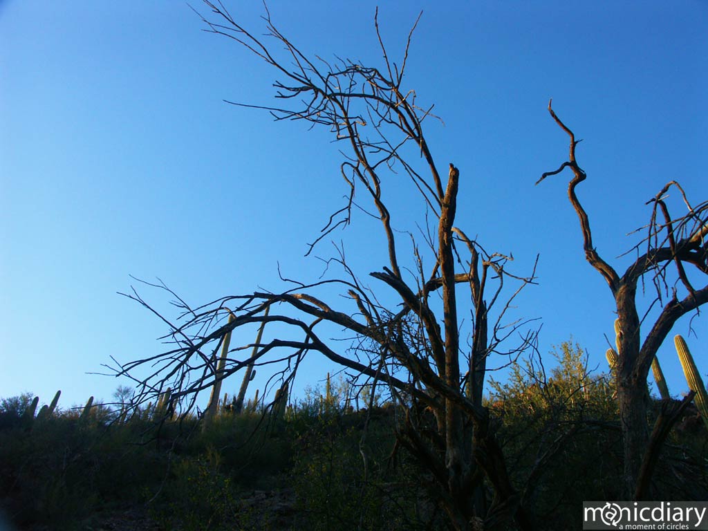 gates_pass01.jpg : gates.pass.arizona