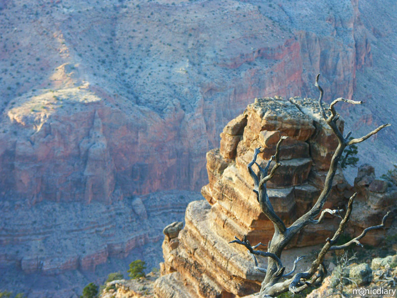 grand-canyon-0015.jpg : grand.canyon.arizona