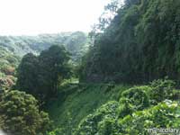 roadtohana.jpg : hana.maui