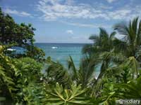 tropicalbeach.jpg : hana.maui