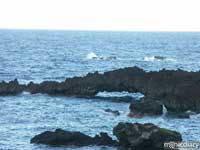 wainapanapa01.jpg : hana.maui