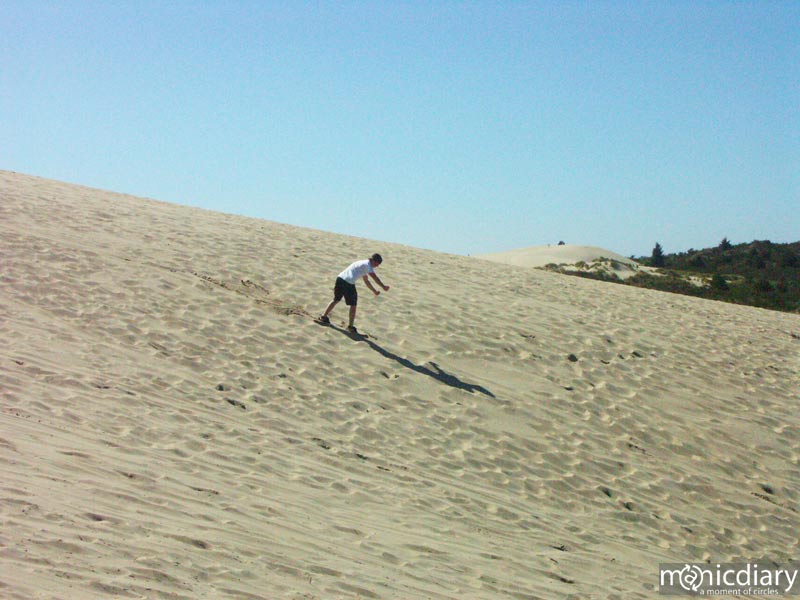 honeyman01.jpg : honeyman.sp.oregon