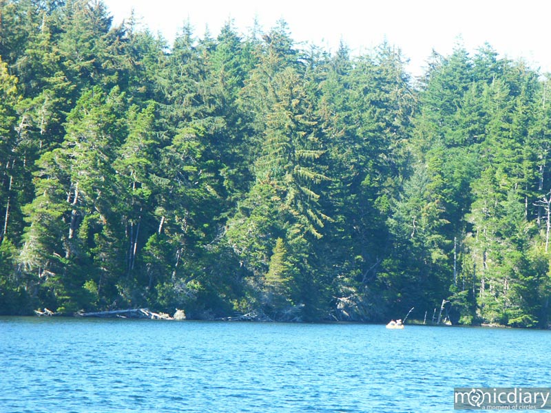 honeyman08.jpg : honeyman.sp.oregon