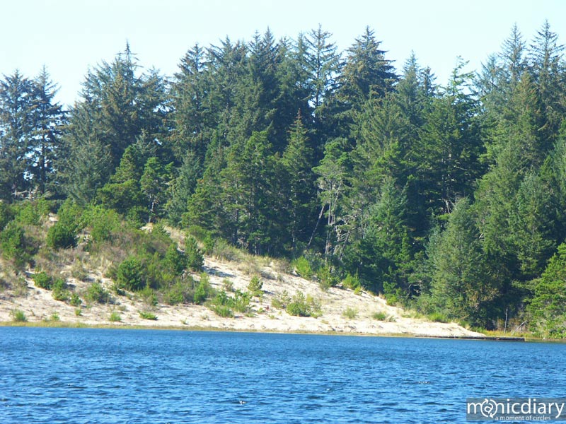 honeyman09.jpg : honeyman.sp.oregon