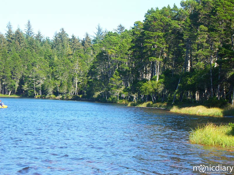 honeyman10.jpg : honeyman.sp.oregon