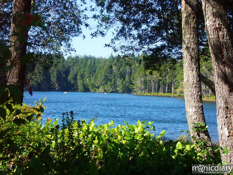 honeyman13.jpg : honeyman.sp.oregon