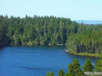 honeyman03.jpg : honeyman.sp.oregon