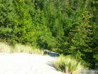 honeyman04.jpg : honeyman.sp.oregon