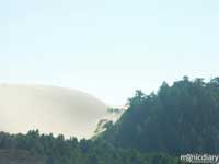 honeyman06.jpg : honeyman.sp.oregon