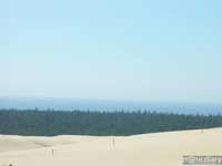 honeyman07.jpg : honeyman.sp.oregon