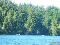 honeyman08.jpg : honeyman.sp.oregon