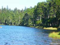 honeyman10.jpg : honeyman.sp.oregon