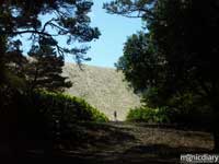 honeyman12.jpg : honeyman.sp.oregon