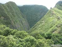greenhills.jpg : iao.maui