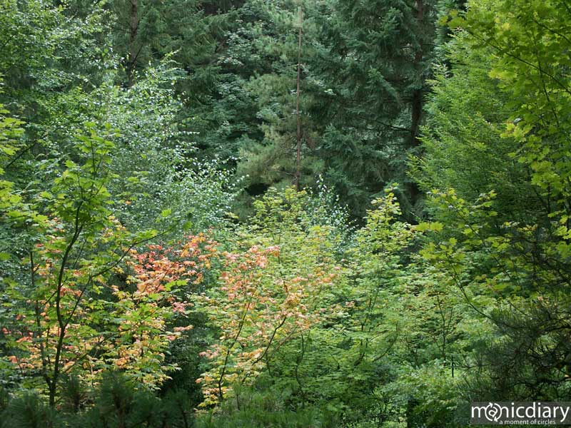 japanese_garden02.jpg : japanese.garden.portland.or