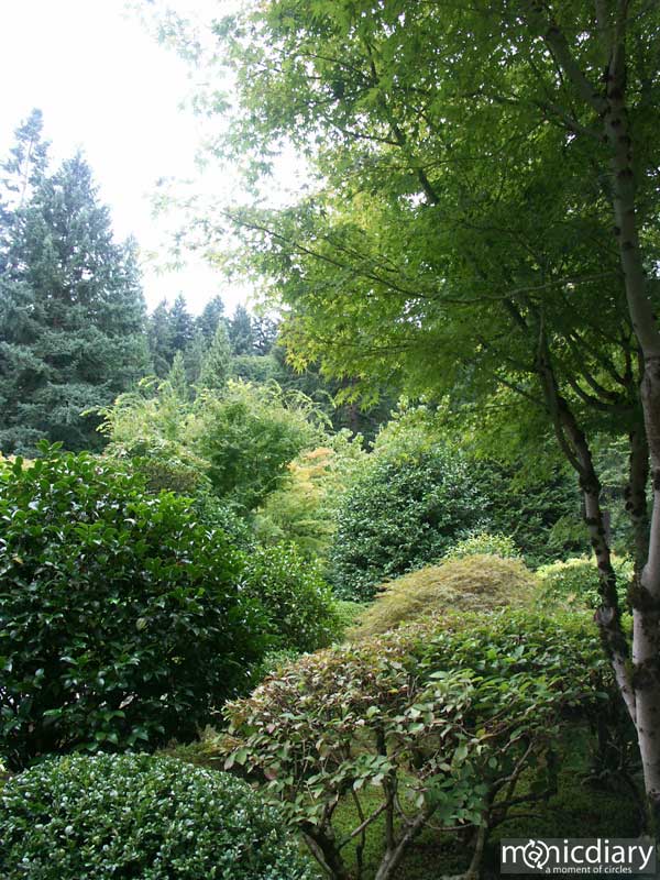 japanese_garden13.jpg : japanese.garden.portland.or