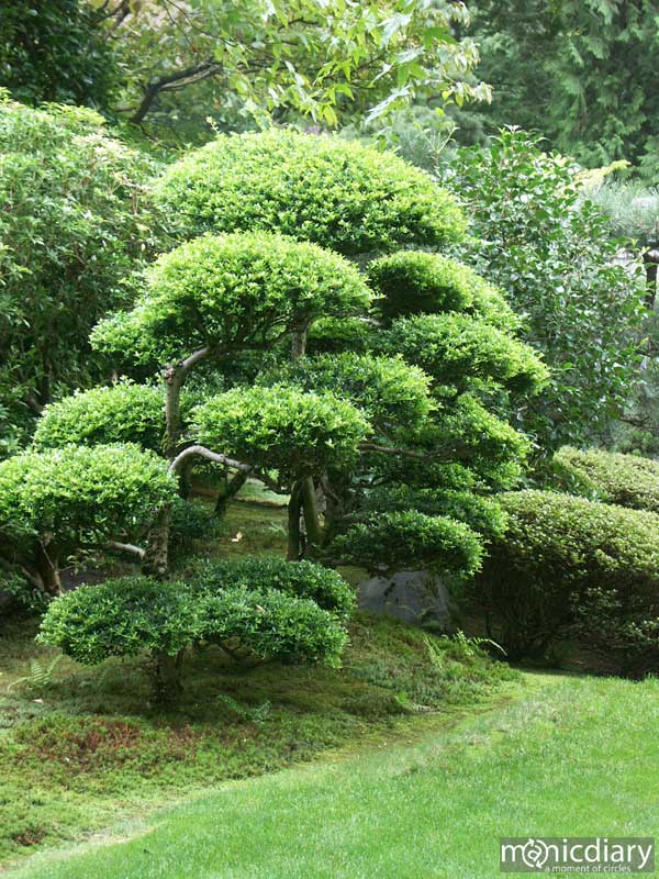 japanese_garden14.jpg : japanese.garden.portland.or