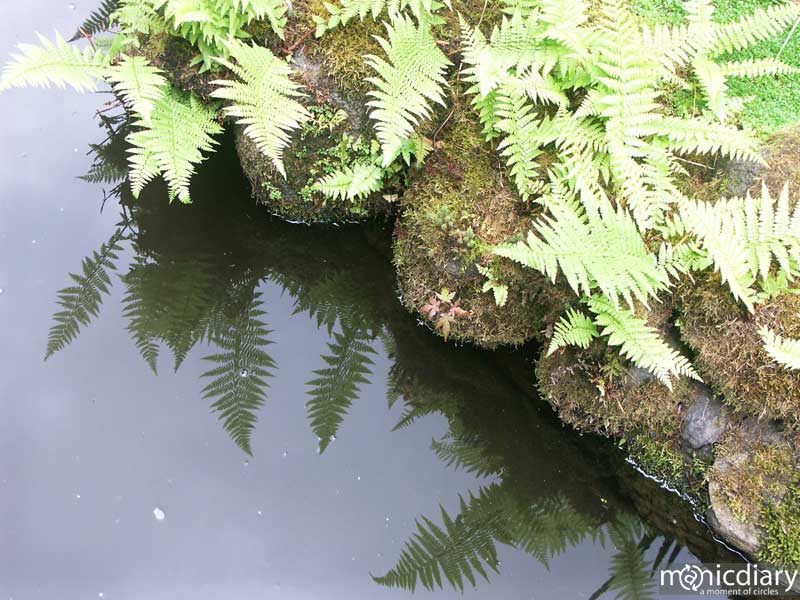 japanese_garden29.jpg : japanese.garden.portland.or