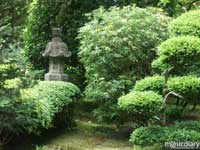 japanese_garden15.jpg : japanese.garden.portland.or