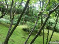 japanese_garden52.jpg : japanese.garden.portland.or