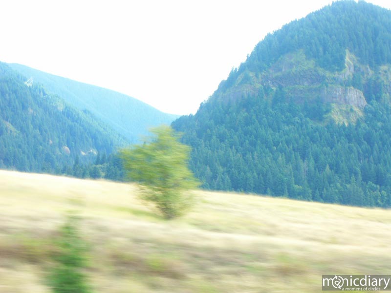 motion00.jpg : misc.oregon