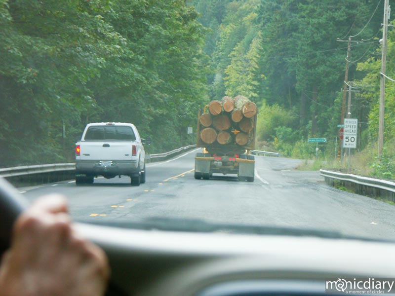 motion01.jpg : misc.oregon