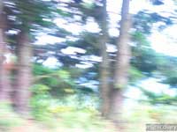 motion.jpg : misc.oregon