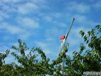 wind_fan.jpg : misc.oregon