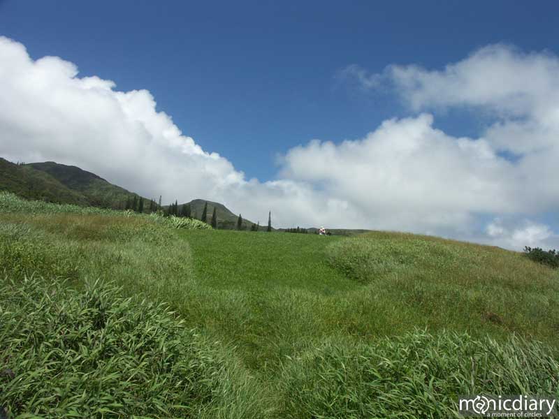 picnic.jpg : north.shore.maui