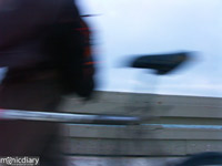 ocean-beach-biker00.jpg : ocean.beach.san.diego