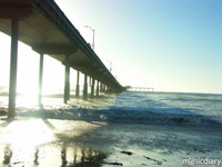 ocean-beach07.jpg : ocean.beach.san.diego