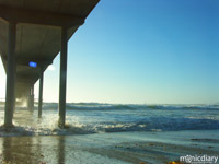 ocean-beach08.jpg : ocean.beach.san.diego