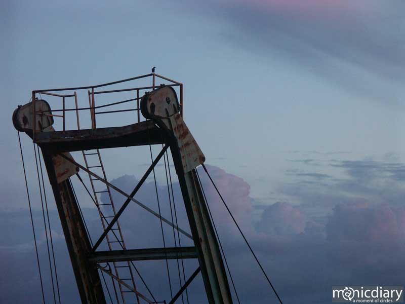 crane.jpg : the.mill.maui