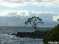 wailea.jpg : wailea.maui
